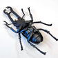 70360 Beetle Figurine Capsule-4