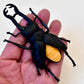 70360 Beetle Figurine Capsule-4