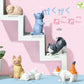 70362 Polygon Cat Figurine Capsule-6