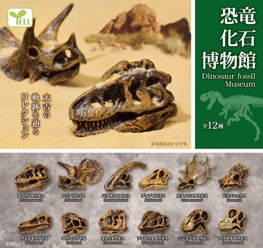 70376 Dinosaur Fossil Figurine Capsule-12