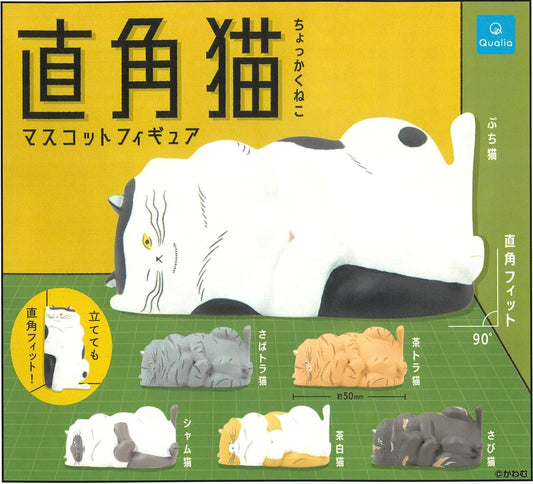 70389 Square Cat Capsule-6