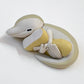 70390 Sleeping Baby Dinosaurs Capsule-6