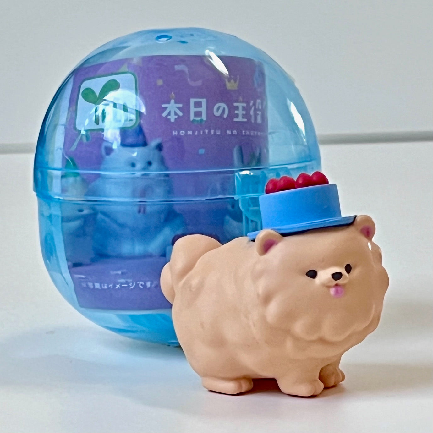 70405 - Birthday Animals Capsule - 5