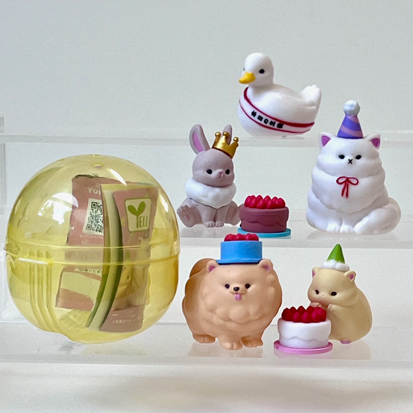 70405 - Birthday Animals Capsule - 5