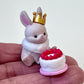 70405 - Birthday Animals Capsule - 5