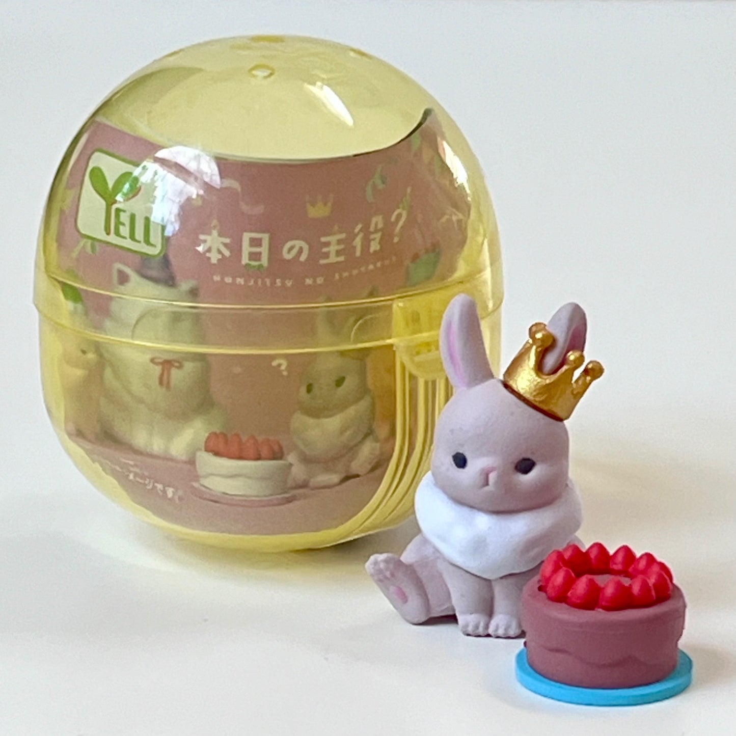 70405 - Birthday Animals Capsule - 5