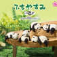 70415 Resting Panda Capsule-5