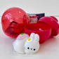 70418 Soft Rabbit Gummy Capsule-6