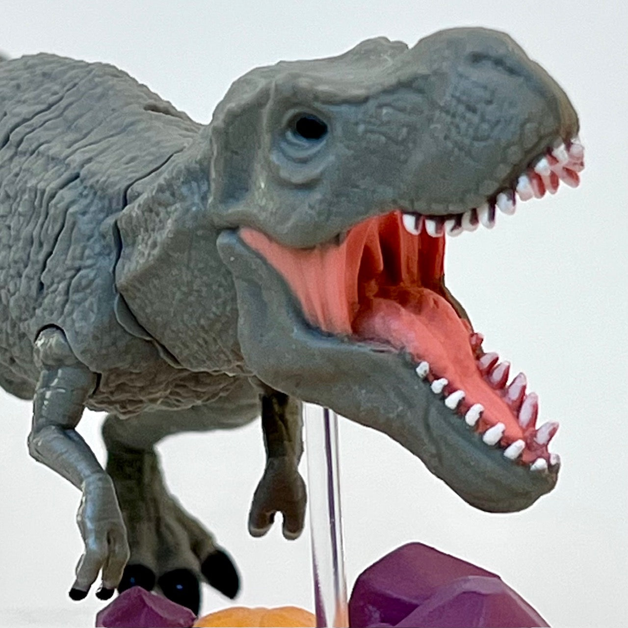 70444 Dinosaur Capsule-8