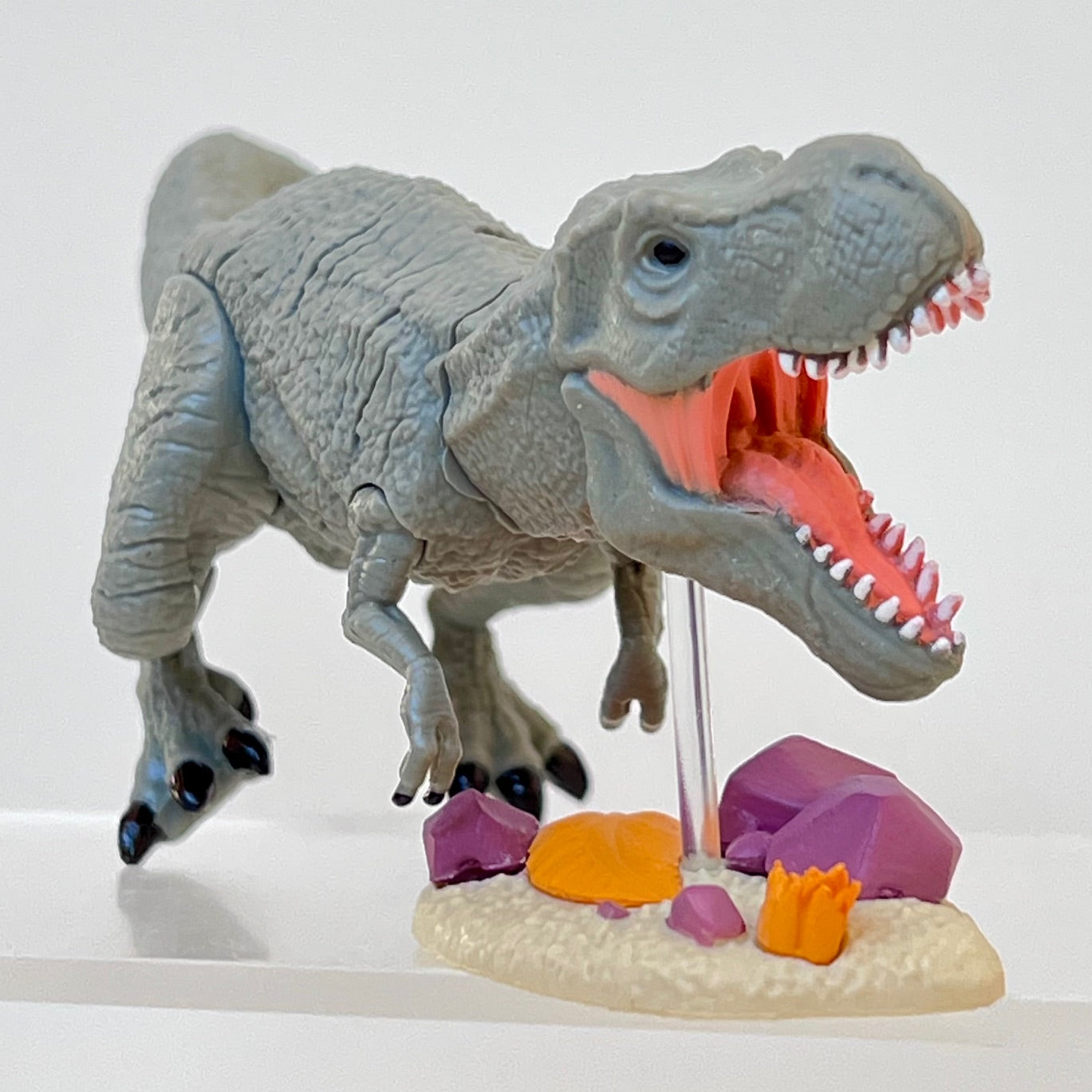 70444 Dinosaur Capsule-8
