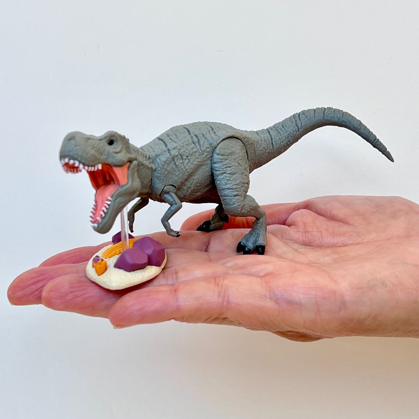 70444 Dinosaur Capsule-8