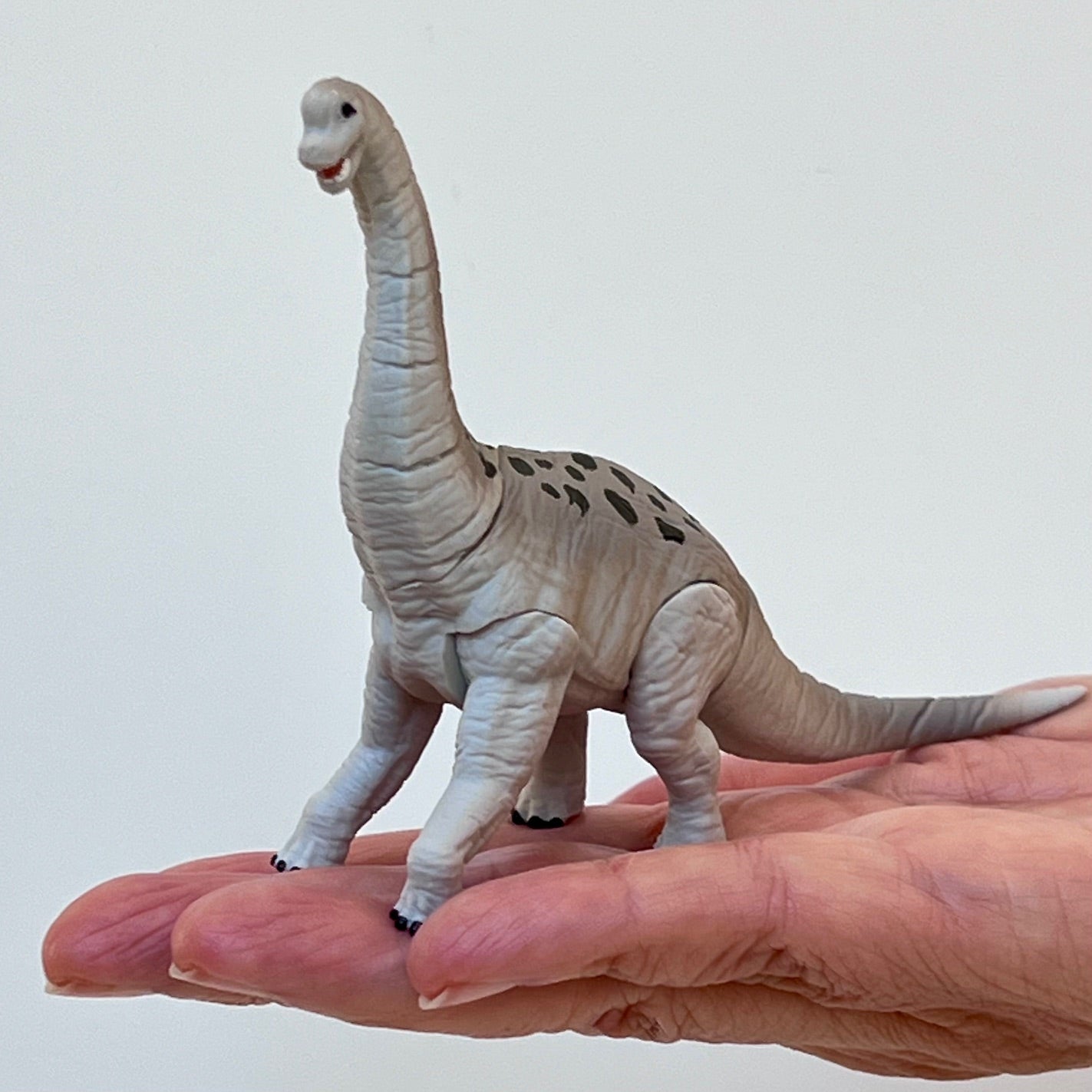 70444 Dinosaur Capsule-8