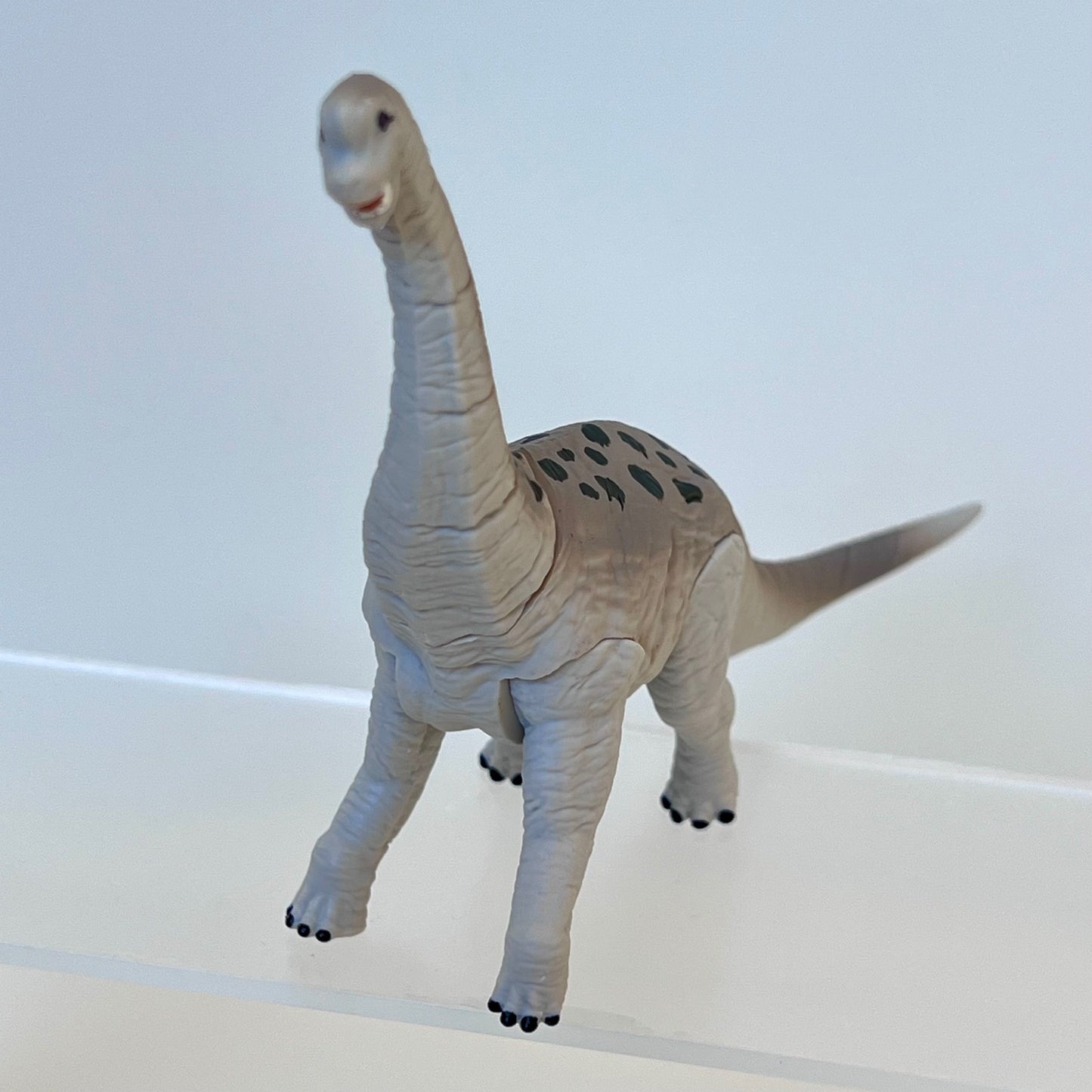 70444 Dinosaur Capsule-8