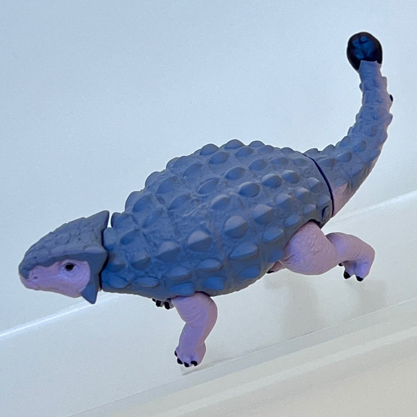 70444 Dinosaur Capsule-8