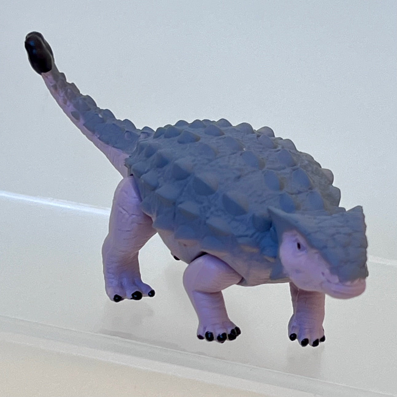 70444 Dinosaur Capsule-8