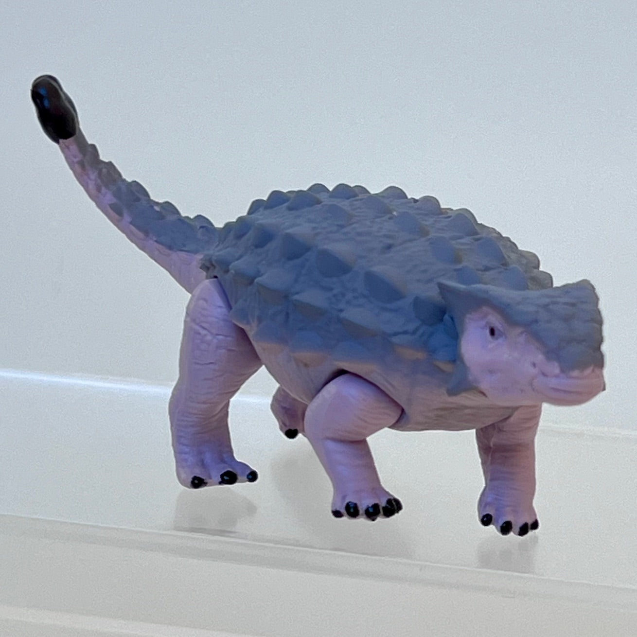 70444 Dinosaur Capsule-8