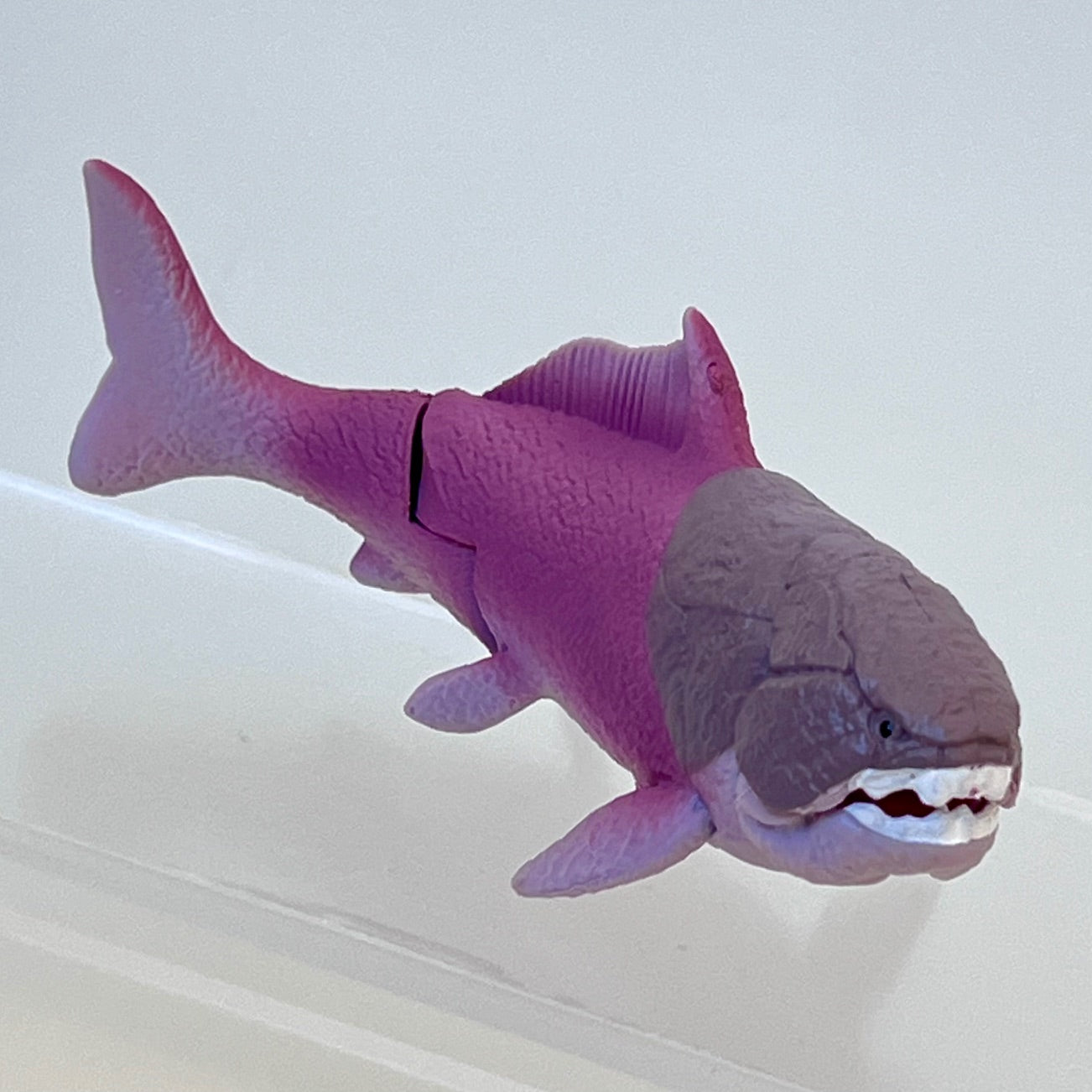 70444 Dinosaur Capsule-8