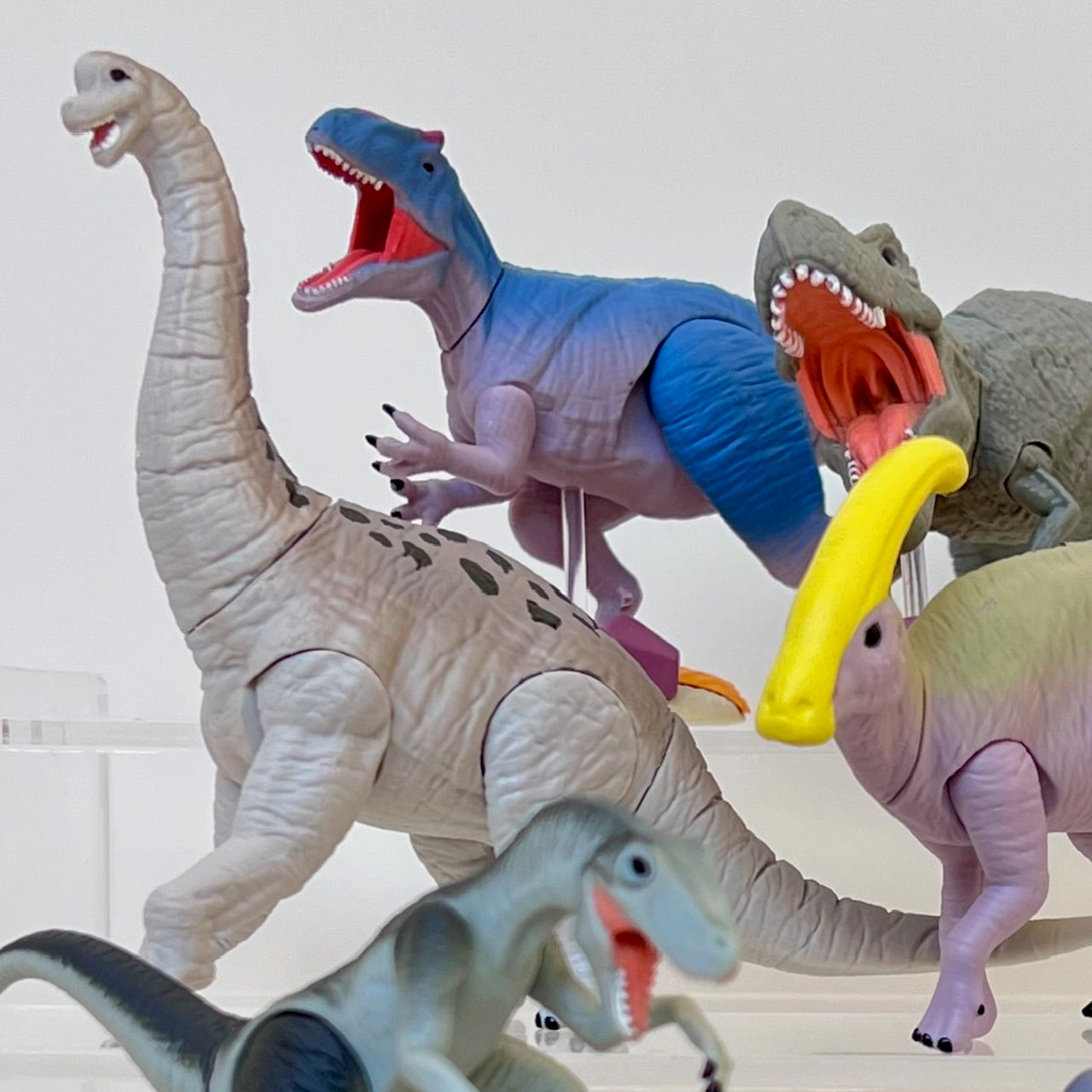 70444 Dinosaur Capsule-8