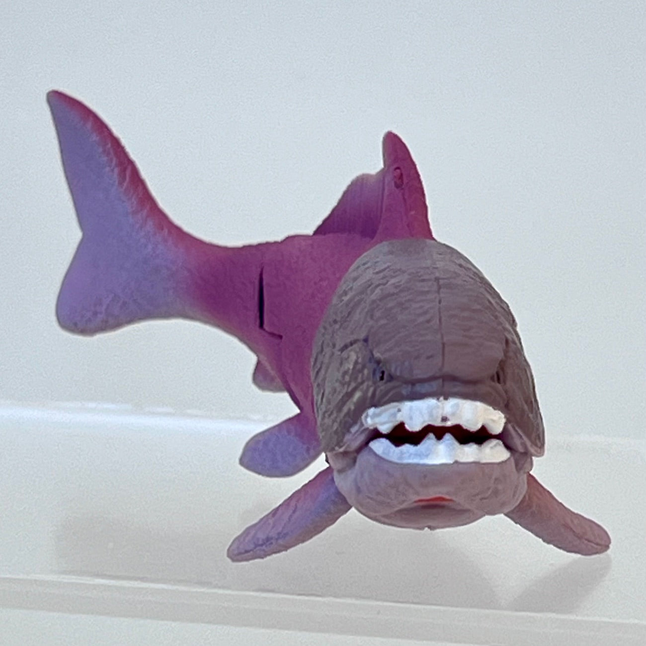 70444 Dinosaur Capsule-8