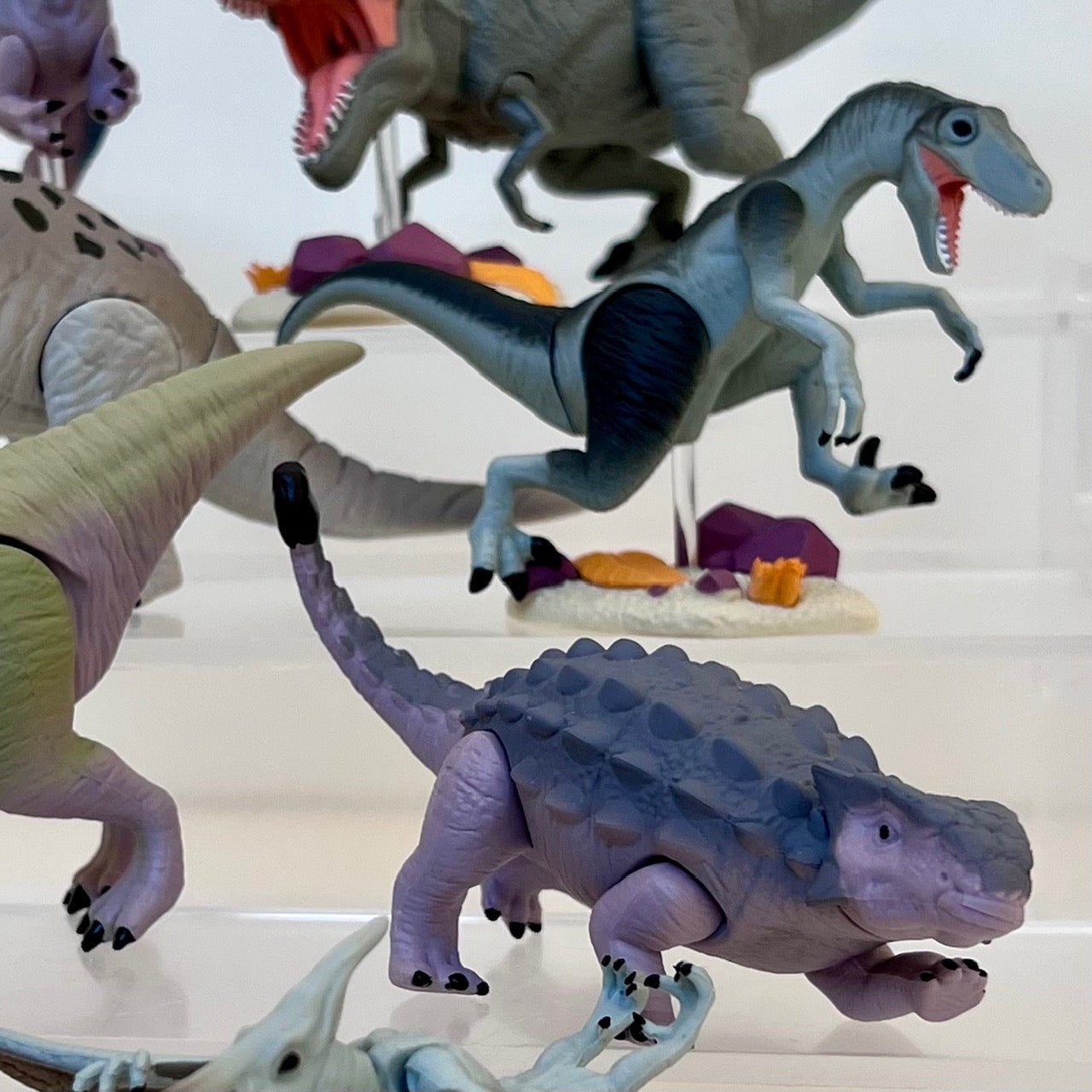 70444 Dinosaur Capsule-8