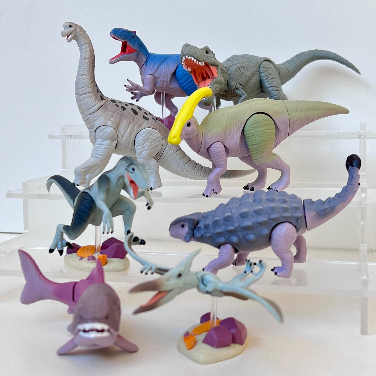 70444 Dinosaur Capsule-8