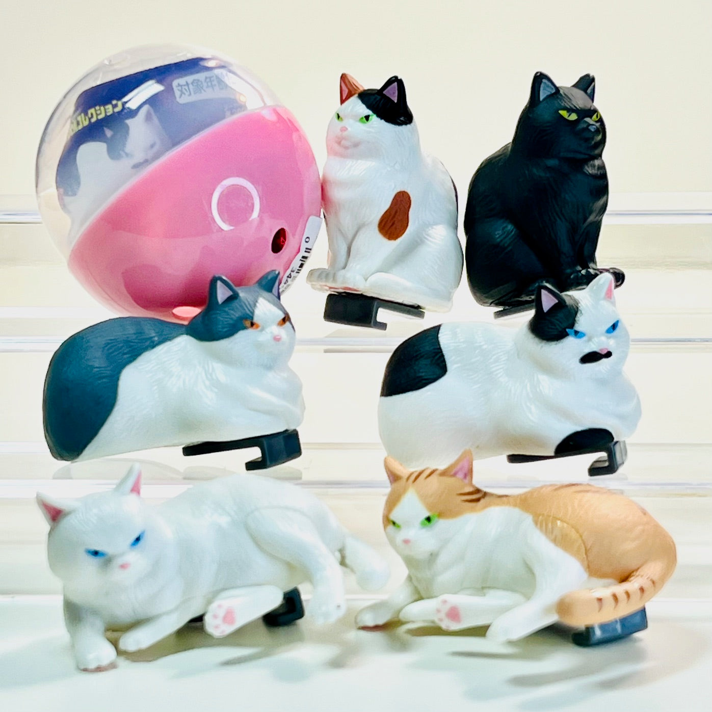70452 Cat Instant Noodle Clip Figurine Capsule-6