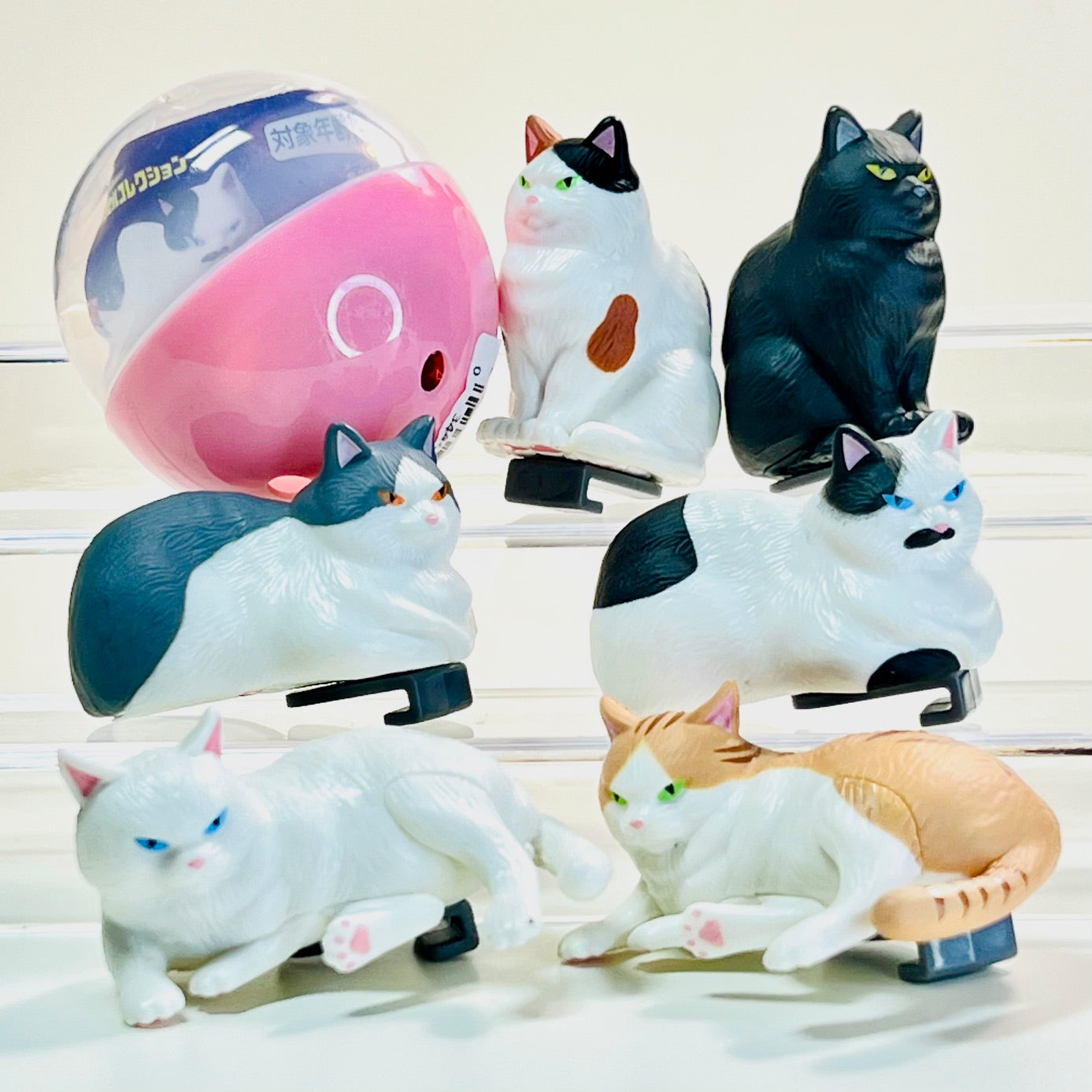 70452 Cat Instant Noodle Clip Figurine Capsule-6