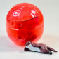 70458 Sleeping Animals Figurine Capsule-5