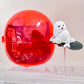 70486 Magic Broom Animals Figurine Capsule-5