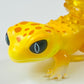 70487 Crystal Lizards Figurine Capsule-5