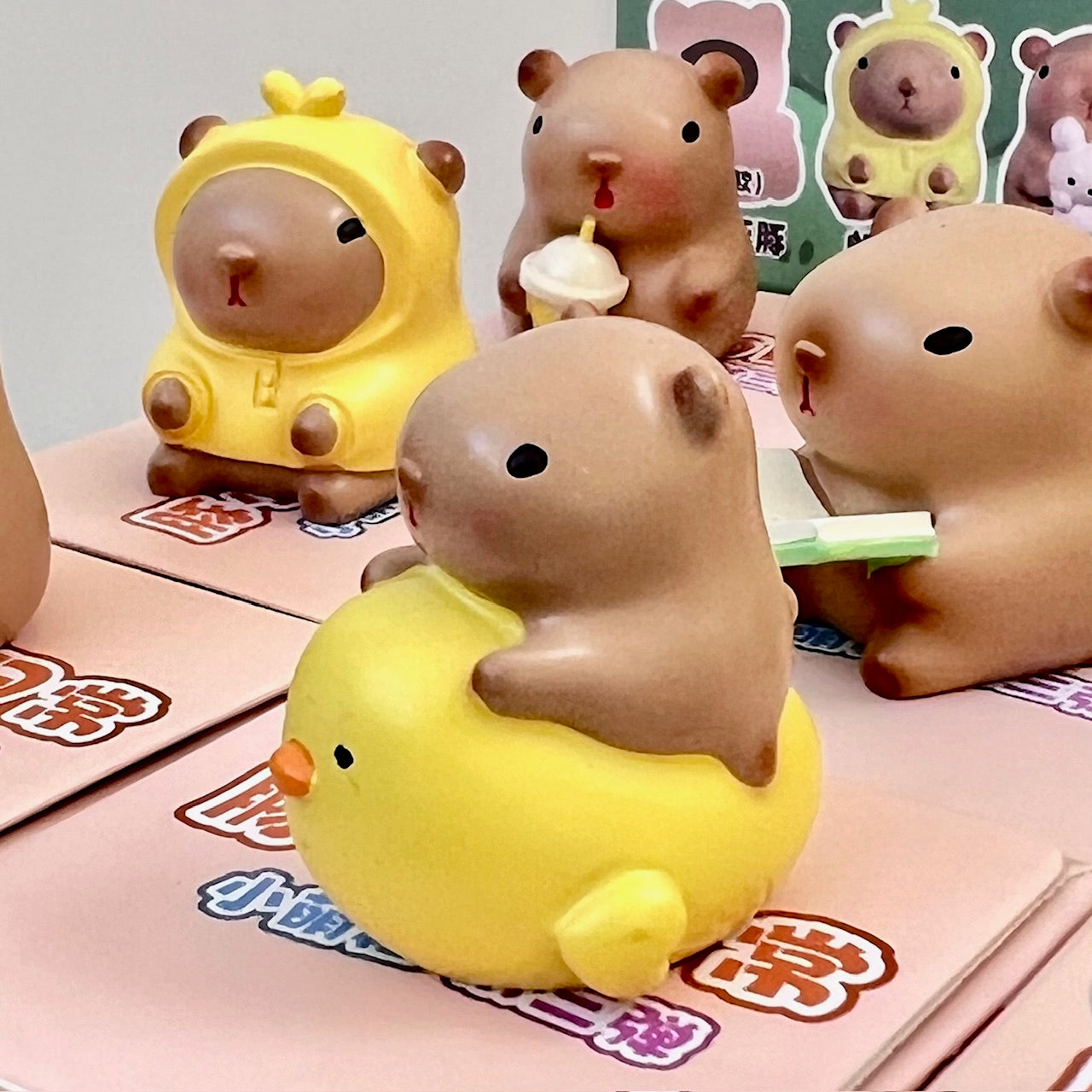 71048 CAPYBARA MINIATURES VOL.1  FIGURINE BLIND BOX-12