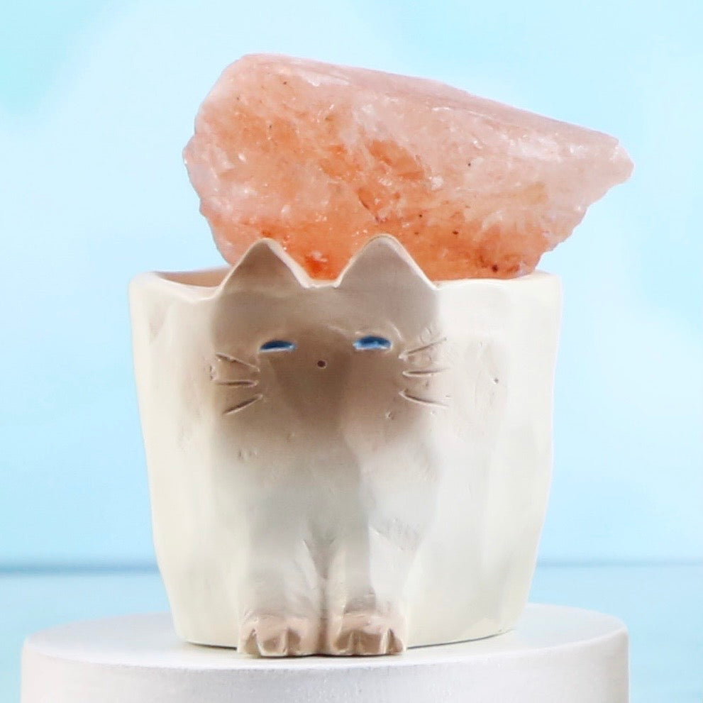71284 Cat Pal Crystal Blind Box-6