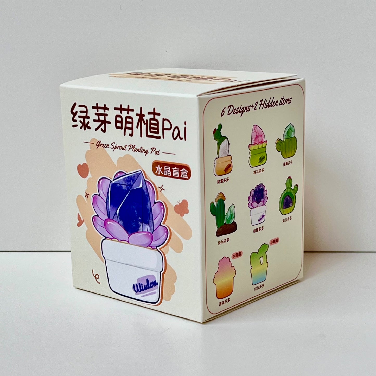 71314 Cactus & Succulent Crystal Blind Box-6