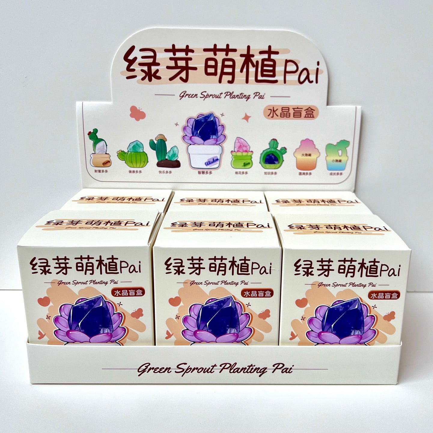 71314 Cactus & Succulent Crystal Blind Box-6