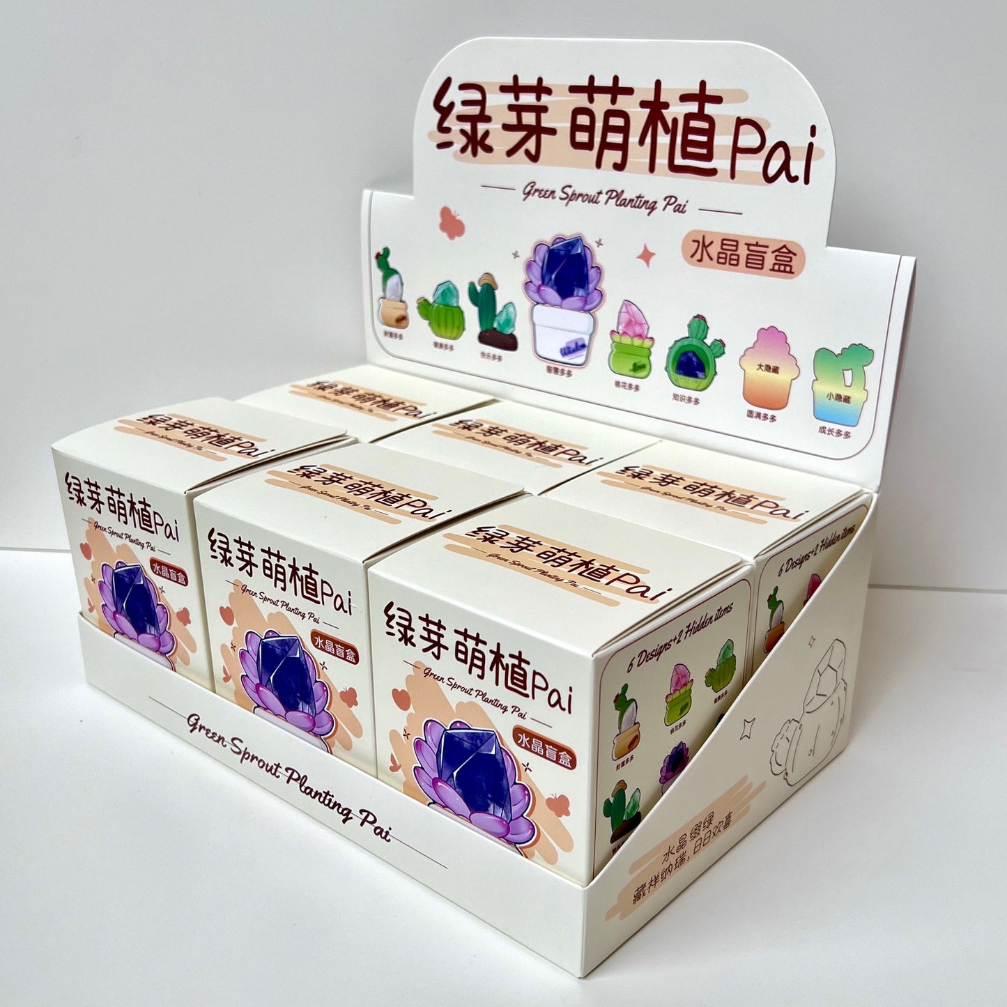 71314 Cactus & Succulent Crystal Blind Box-6