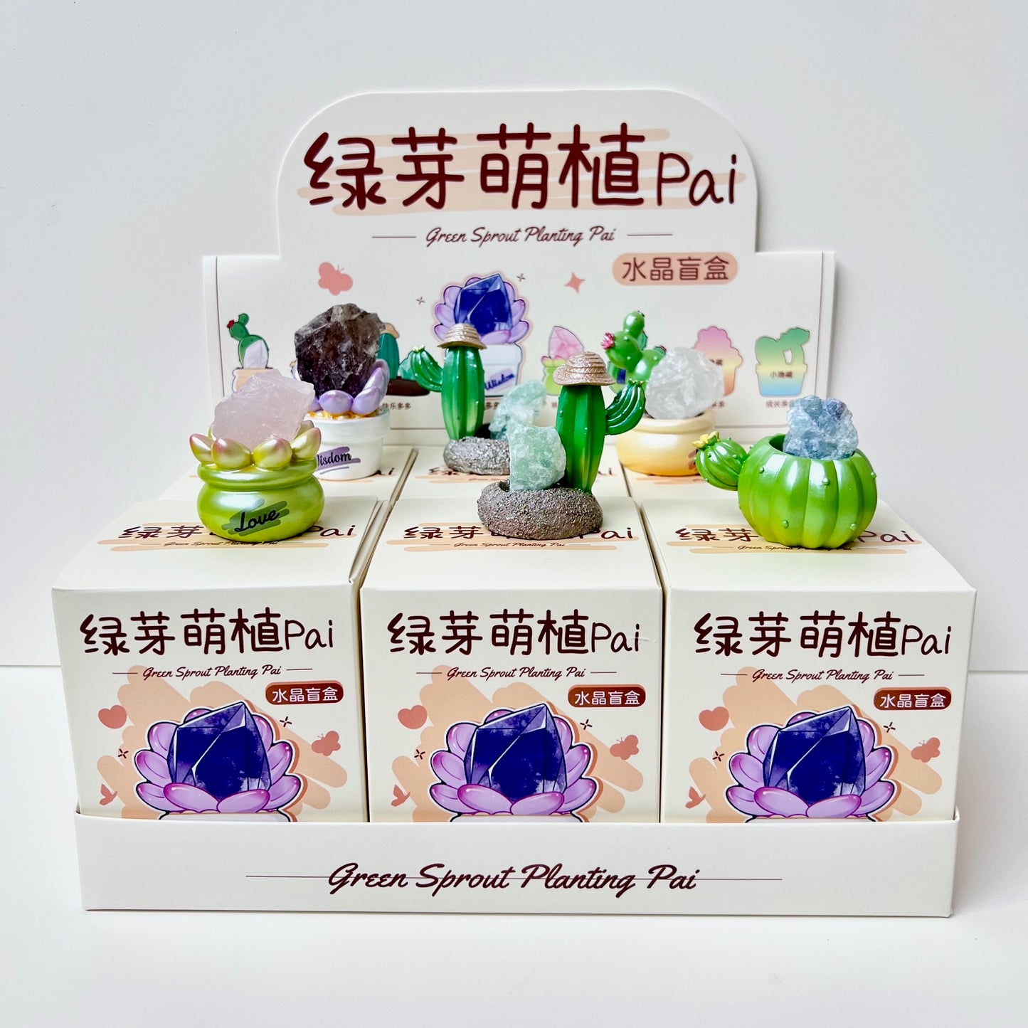 71314 Cactus & Succulent Crystal Blind Box-6