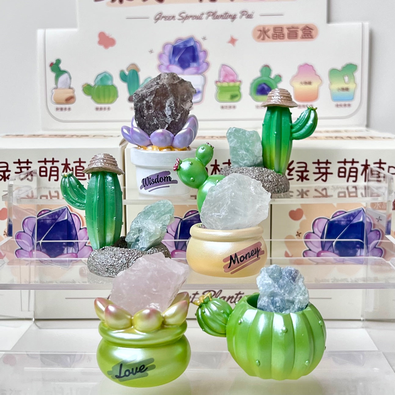 71314 Cactus & Succulent Crystal Blind Box-6