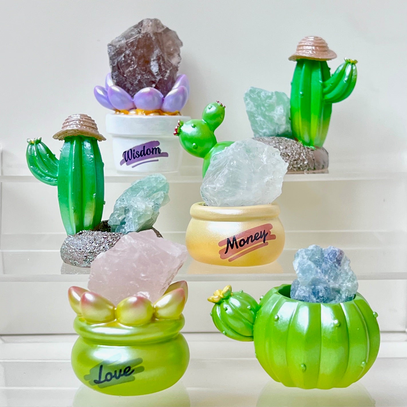 71314 Cactus & Succulent Crystal Blind Box-6