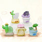 71314 Cactus & Succulent Crystal Blind Box-6