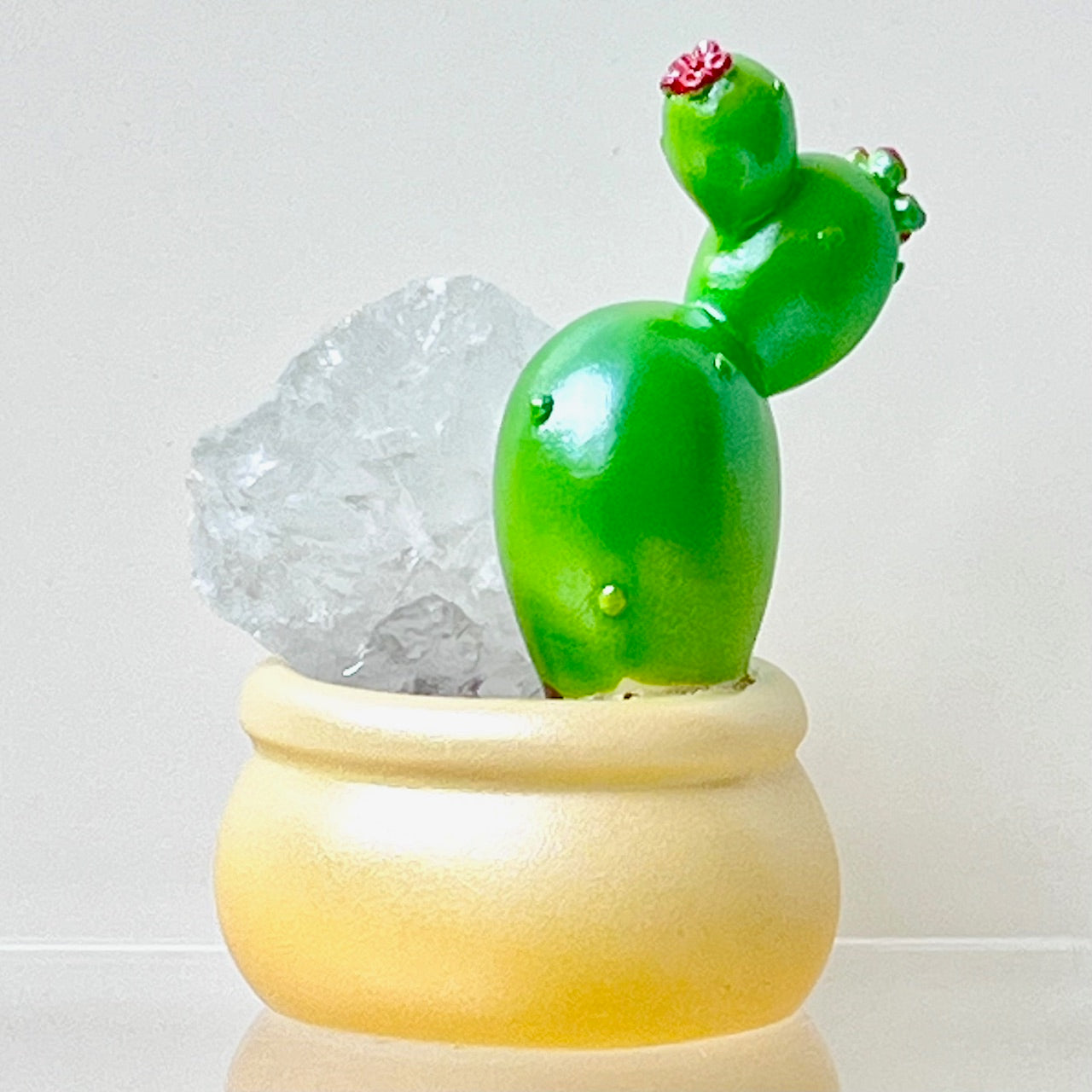 71314 Cactus & Succulent Crystal Blind Box-6