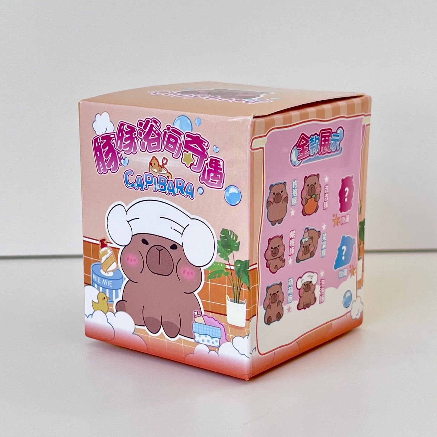 71319 Miniature Capybara Blind Box-12