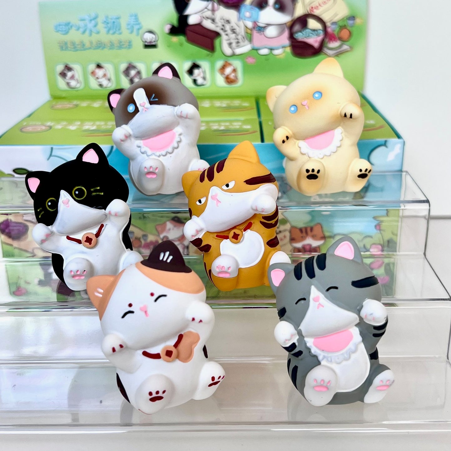 71320 Meow Cat Blind Box-6