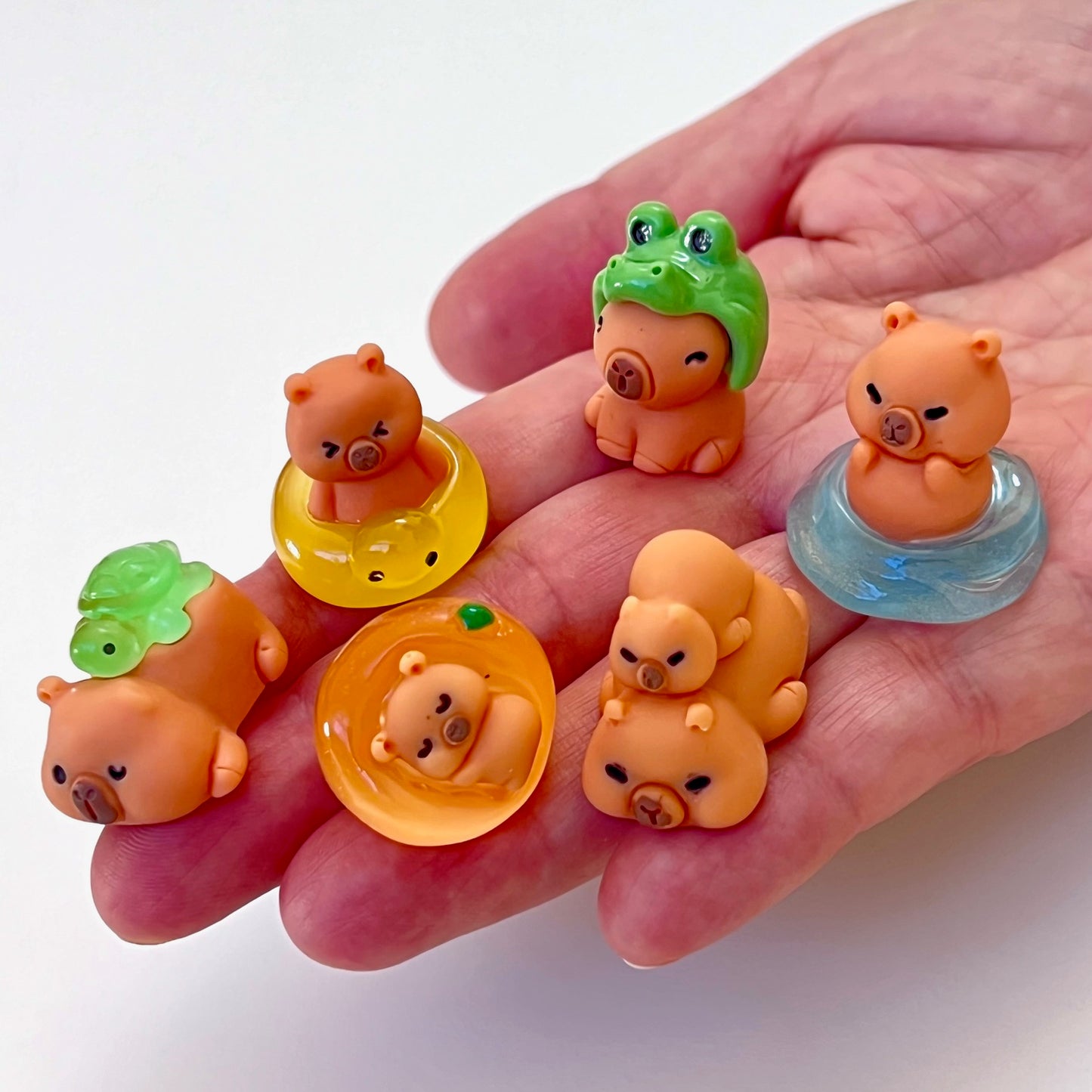 71328 Tiny Capybara Blind Box-48