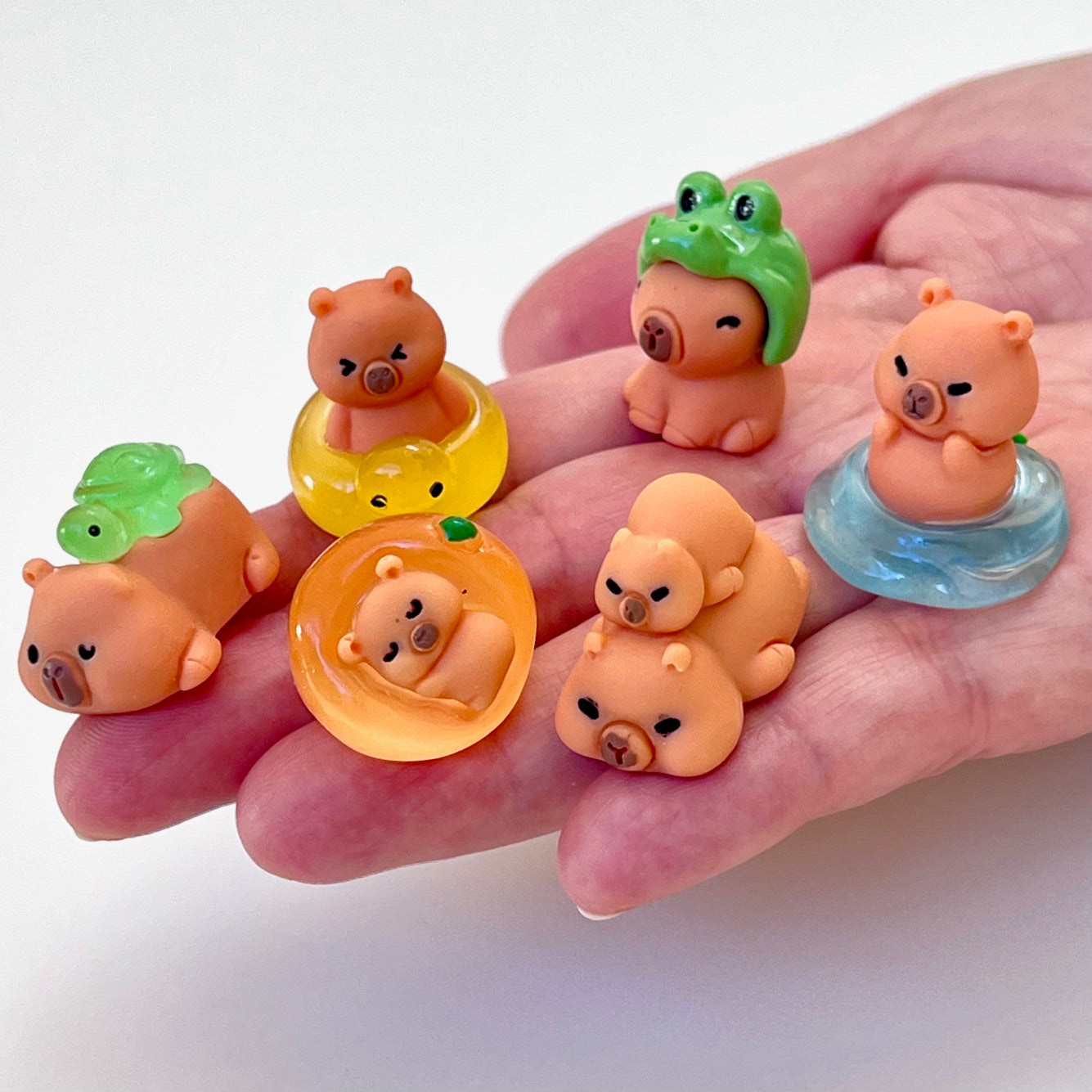 71328 Tiny Capybara Blind Box-48