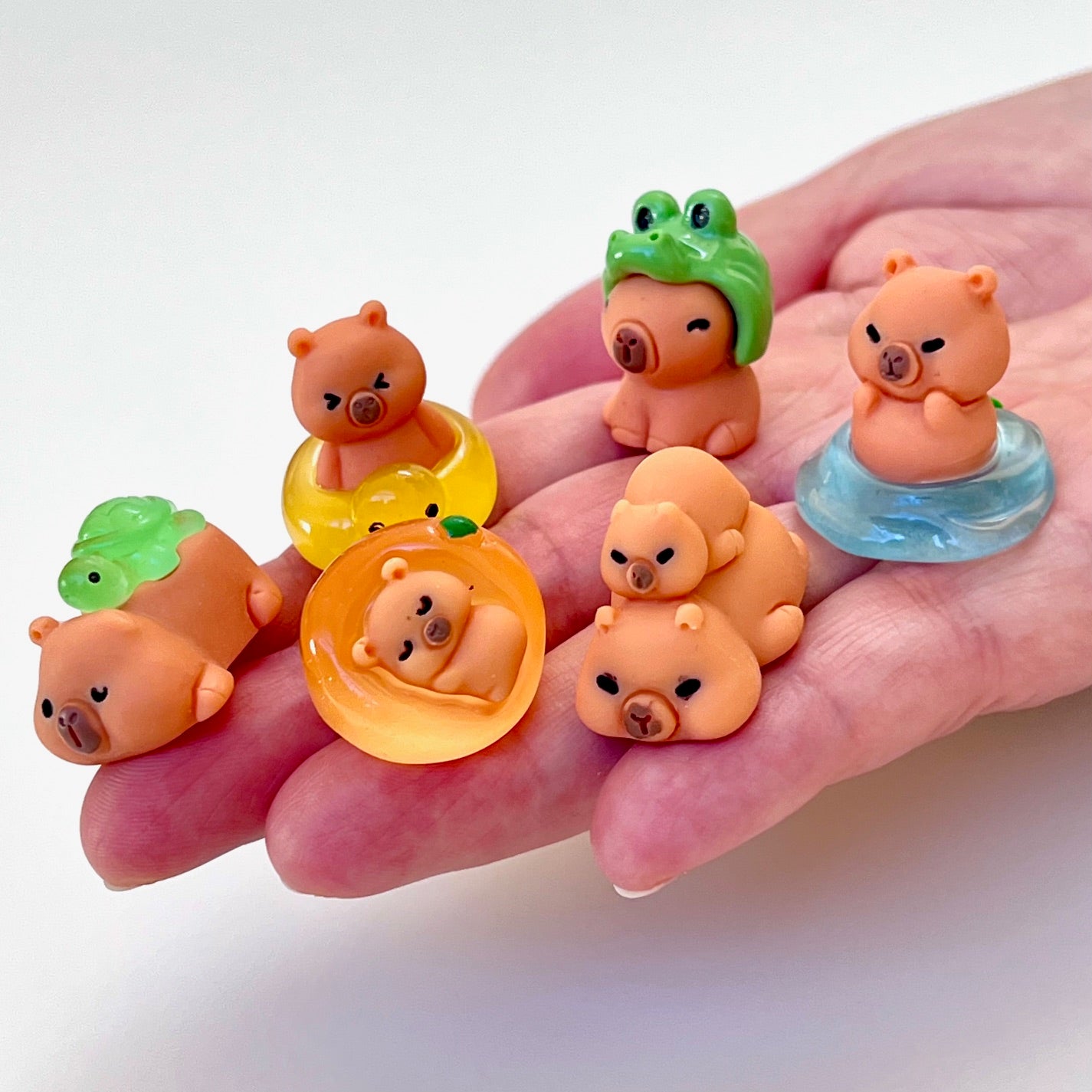 71328 Tiny Capybara Blind Box-48