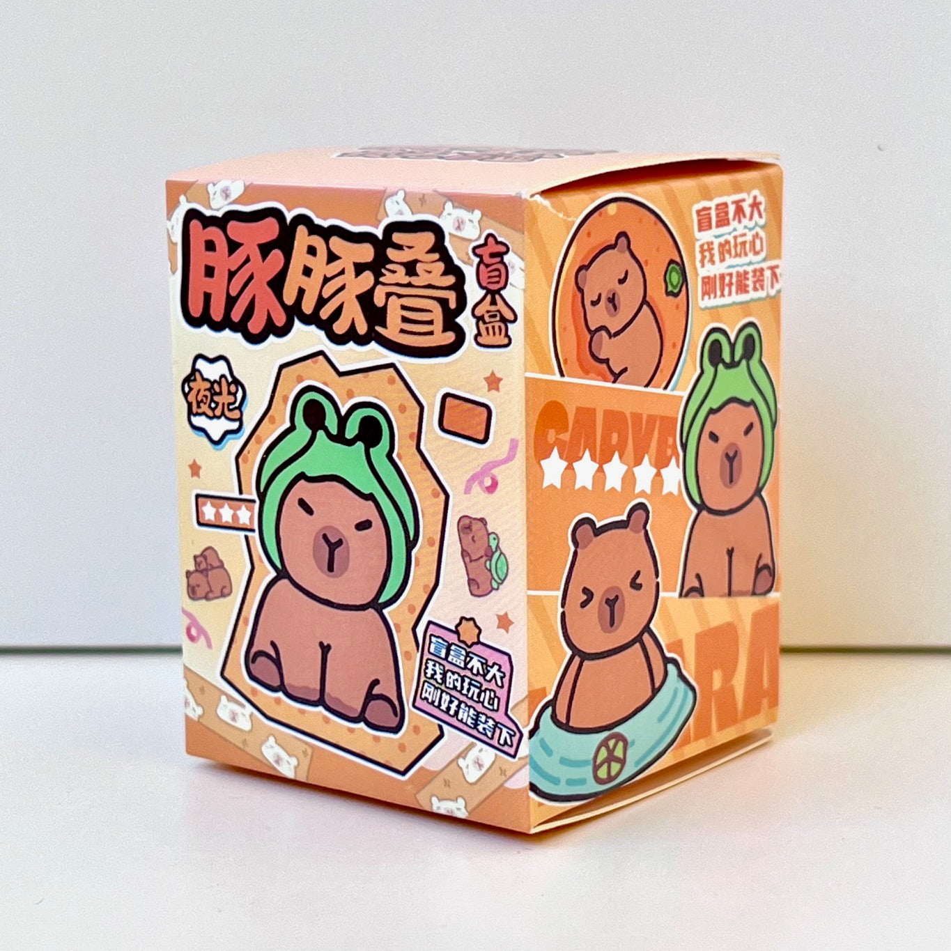71328 Tiny Capybara Blind Box-48