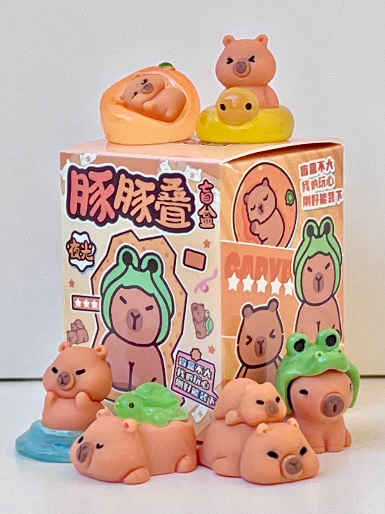 71328 Tiny Capybara Blind Box-48