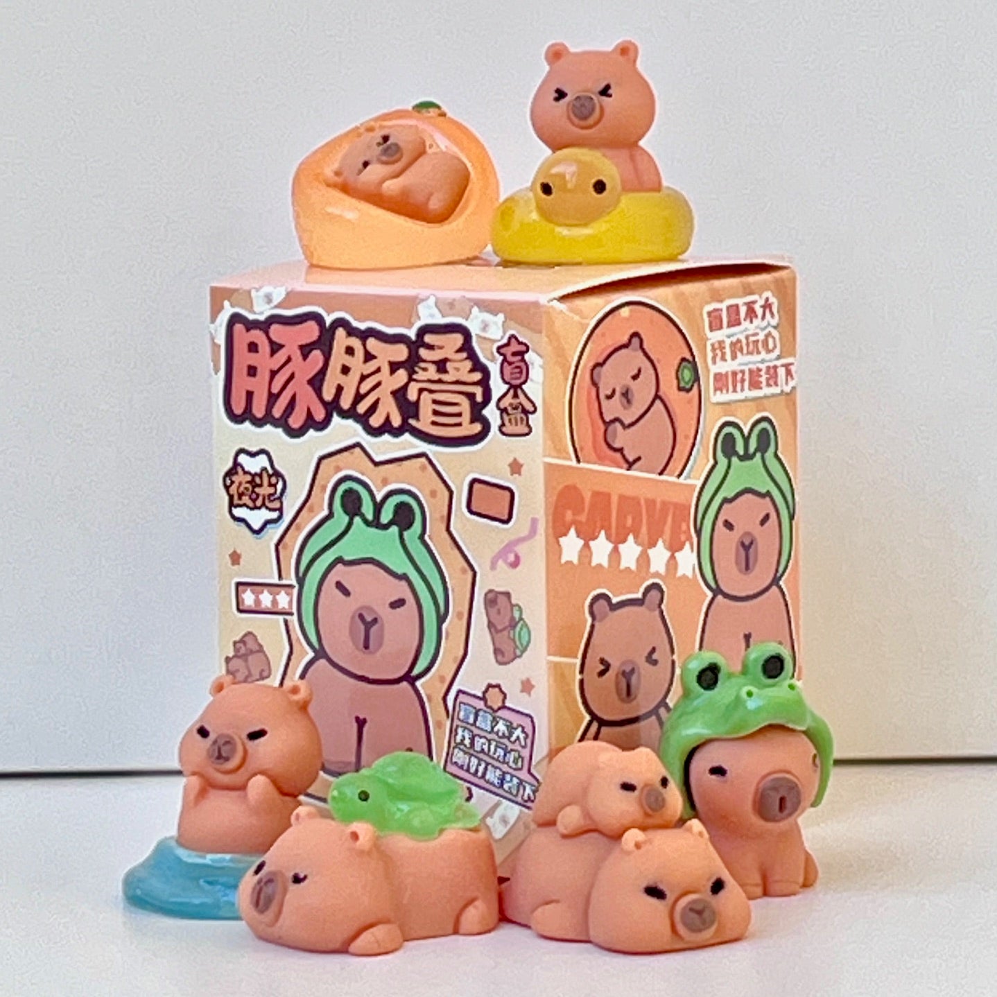 71328 Tiny Capybara Blind Box-48