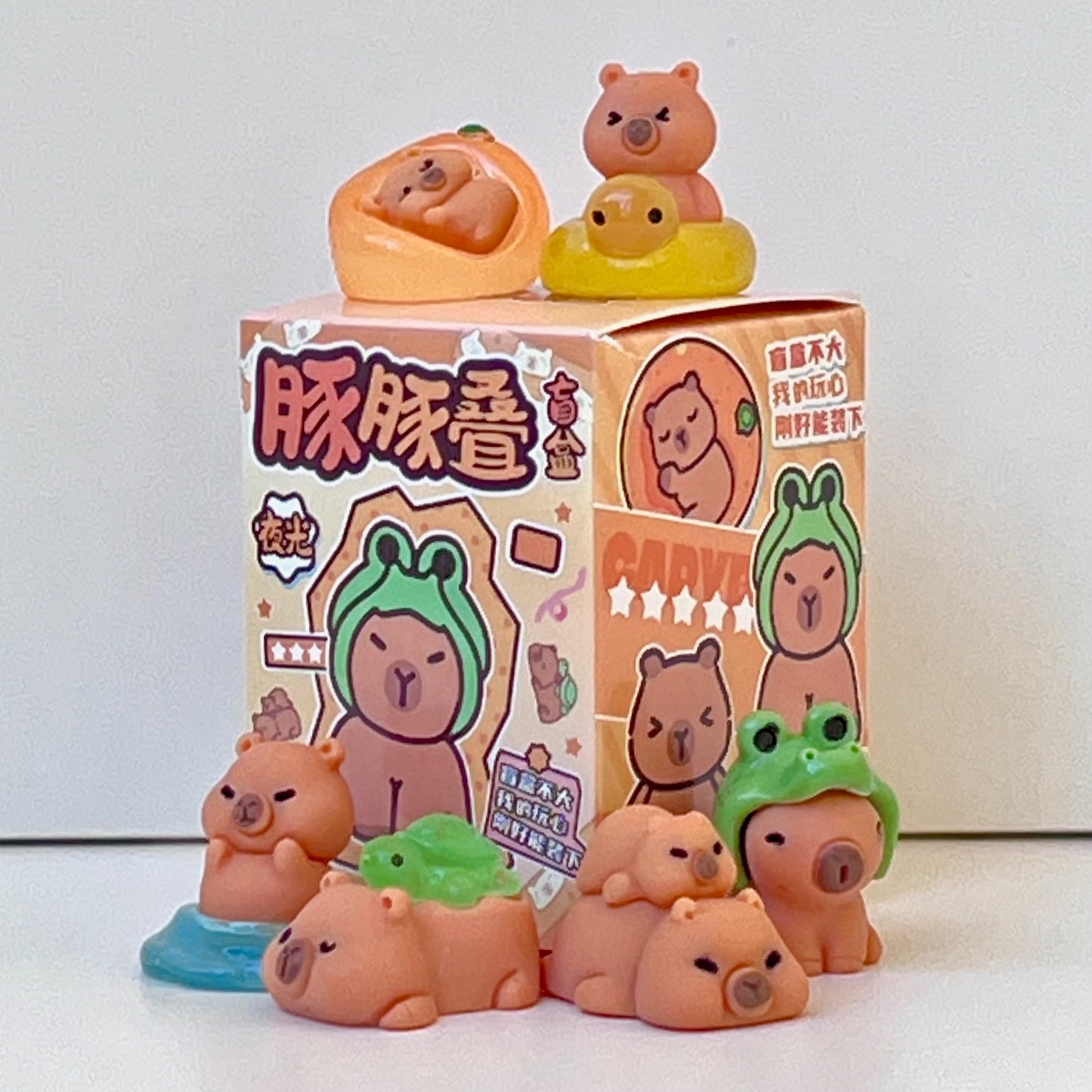 71328 Tiny Capybara Blind Box-48