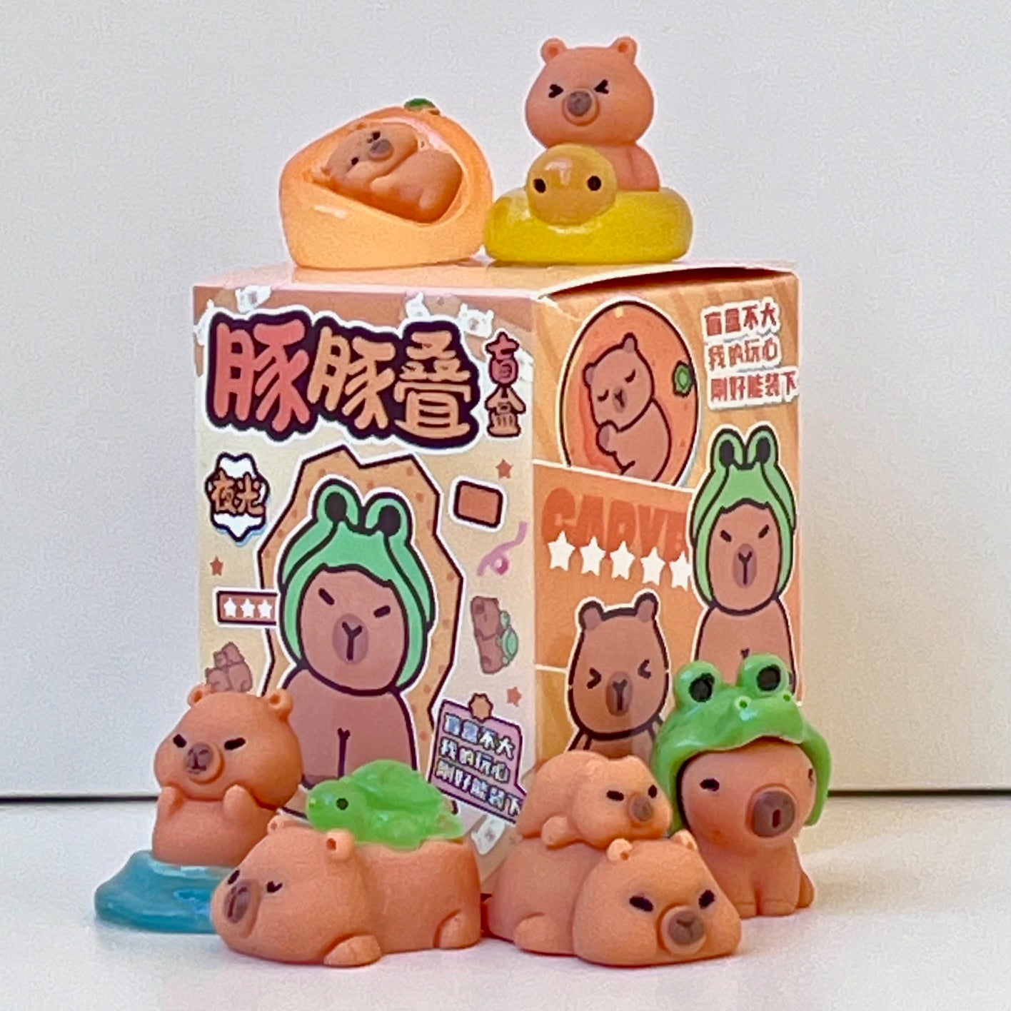 71328 Tiny Capybara Blind Box-48